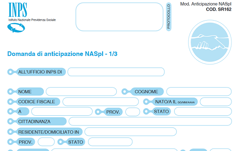 modello naspi com