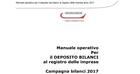 Bilancio 2017: guida Camera di Commercio e Unioncamere