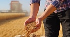 Contributi volontari 2026: le istruzioni INPS per i lavoratori agricoli