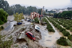 Proroga polizza catastrofale con doppia scadenza per piccole e medie imprese