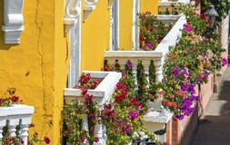 Bonus verde 2018, la nuova detrazione per ristrutturazioni di giardini e terrazzi