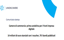 Punti di impresa digitale: stanziati con i voucher 14 milioni per le imprese
