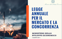DdL Concorrenza: testo ufficiale e novità per professionisti e consumatori