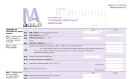 Liquidazione IVA mensile o trimestrale? 