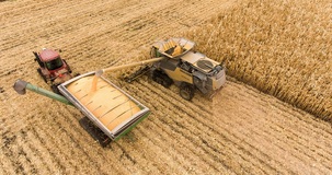 Bonus Sud, quando il credito d'imposta sugli investimenti spetta alle imprese agricole