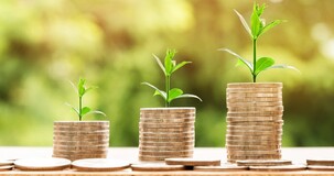 Bonus investimenti al Sud, disponibile il modello aggiornato per la comunicazione