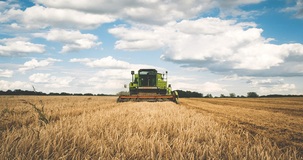 Bonus giovani imprenditori agricoli 2023: come funziona l'esonero contributivo