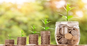 Bonus aree verdi 2018: detrazioni Irpef sistemazione verde privato