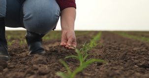 Non solo esenzione IRPEF: stop nel 2024 anche al bonus INPS per i giovani agricoltori