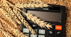 Giovani imprese agricole: come funziona il nuovo regime fiscale agevolato 