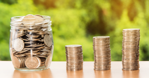 Flat tax mance: come funziona la tassazione del 5%