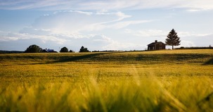 Acquisto terreni agricoli: domande per Generazione Terra fino al 29 novembre