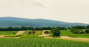 Agricoltura: al via l'edizione 2024 del Fondo innovazione