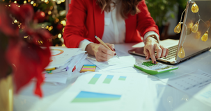 Bonus Natale 2024: recupero o restituzione in dichiarazione dei redditi 