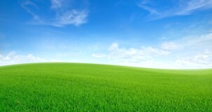 Rideterminazione valore di terreni e partecipazioni: le novità nella Legge di Bilancio 2025