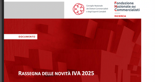 IVA 2025: il CNDCEC stila una rassegna delle novità