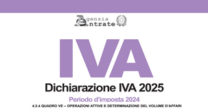 Dichiarazione IVA 2025: istruzioni per la compilazione del Quadro VE