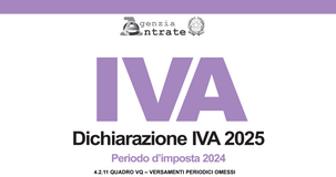 Dichiarazione IVA 2025: istruzioni per la compilazione del Quadro VQ 