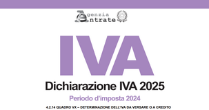 Dichiarazione IVA 2025: le istruzioni per la compilazione del Quadro VX 