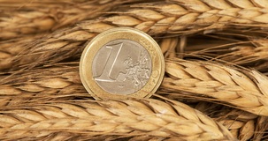 Credito d'imposta fino a 2.500 euro per i giovani imprenditori agricoli 
