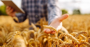 Contributi volontari agricoli INPS 2025: istruzioni e aliquote 