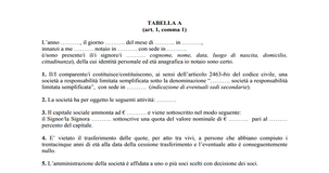 Costituzione S.r.l. semplificata