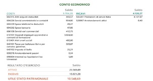 Il Conto economico del bilancio di esercizio