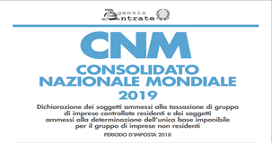 Consolidato nazionale mondiale 2019: modello e istruzioni