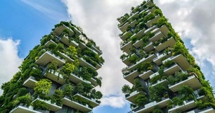 Bonus verde 2020: proroga della detrazione in arrivo. Tutte le novità
