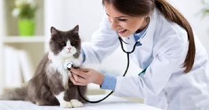 Detrazione spese veterinarie: in Legge di Bilancio 2020 sale l'importo massimo
