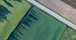 L'edificabilità di fatto incide sulla plusvalenza da cessione del terreno