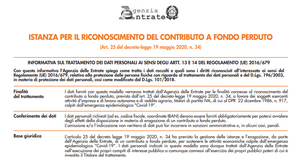 Contributi a fondo perduto: controlli e restituzione