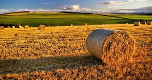 IMU terreni agricoli 2020: esenzioni, chi paga e calcolo
