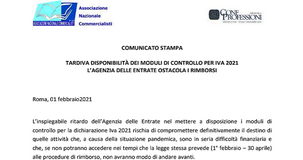 Rimborso IVA 2021, moduli di controllo in ritardo. ANC critica l'Agenzia delle Entrate