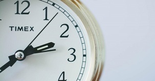 Consegna modello CU 2021, debutta la nuova scadenza unica per i sostituti d'imposta