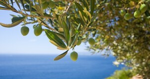 Contributi a fondo perduto alternativo 2021: la scadenza del 2 settembre è vicina