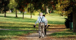 Pensioni 2022, Quota 102 e 103 in successione: la proposta alternativa del Governo