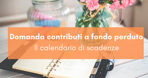 Contributi a fondo perduto, dagli aiuti alle start up al saldo: le domande in scadenza a dicembre
