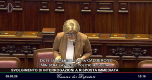 Cassetto previdenziale per i neonati, Calderone: “stiamo valutando” 