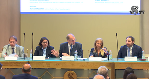 Il Piano Mattei per la crescita economica e la cooperazione internazionale, l'evento in Senato 