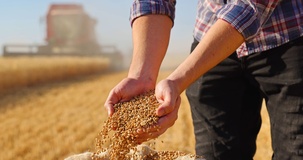 Contributi volontari 2026: le istruzioni INPS per i lavoratori agricoli