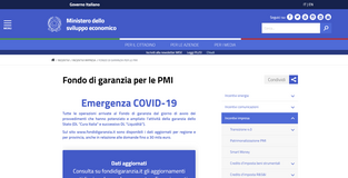 Fondo di garanzia per le società finanziarie e di assicurazione nella LdB 2021