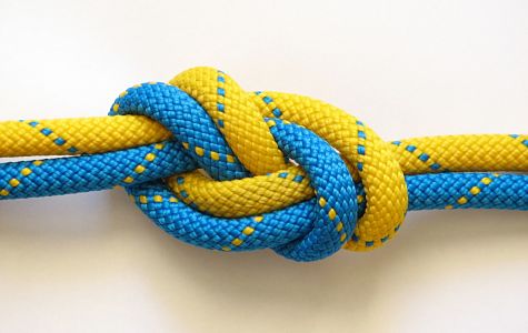 Impresa sociale: cos'è? Definizione normativa e requisiti