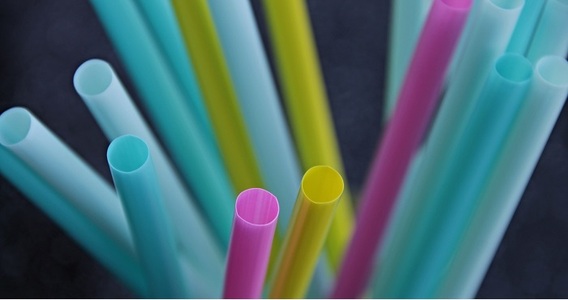Plastica monouso, stop dal 14 gennaio 2022: sanzioni per chi non rispetta le regole