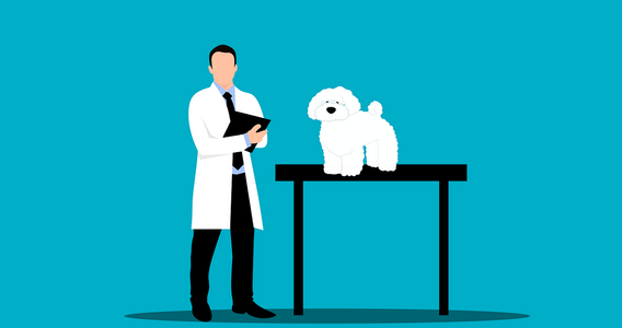 Detrazione spese veterinarie 730/2018: importo, franchigia e istruzioni compilazione