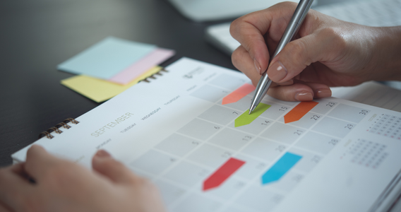 Fattura differita per il professionista: le istruzioni