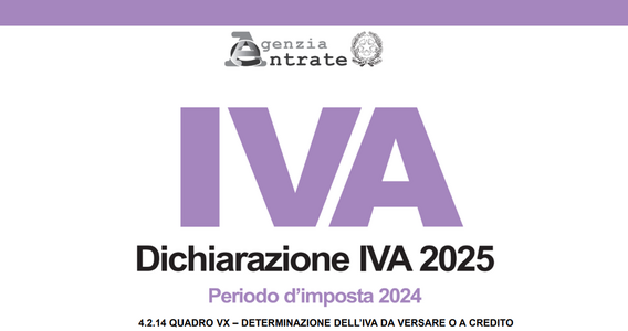 Dichiarazione IVA 2025: le istruzioni per la compilazione del Quadro VX
