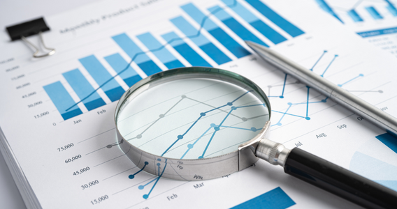 Controlli fiscali: il rapporto tra Fisco e diritto al rispetto della vita privata