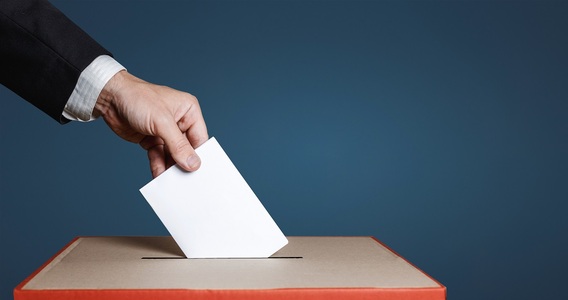 Referendum 2025: il compenso per scrutatori e presidenti ai seggi elettorali