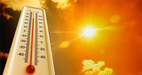 Emergenza caldo: cosa prevede il nuovo protocollo?
